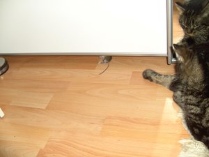 Püppy & Beute 019.jpg