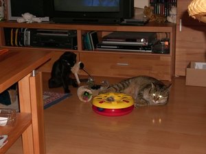 Kira u Johnny 12.02.10 (1).JPG