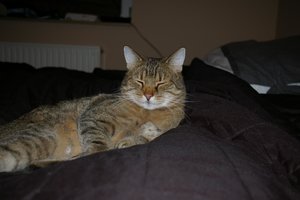 Felix und Zoey 029.jpg