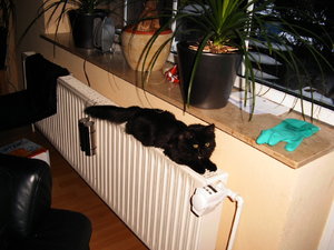 Felix und Zoey 130.jpg