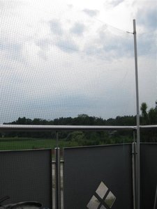 IMG_2331 (Small).JPG