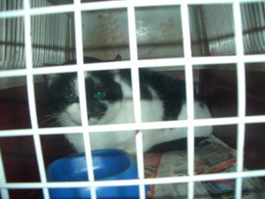 li 656 Re 89klein.jpg