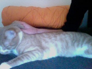 Foto am 30-07-2011 um 19.26.jpg