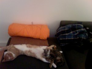 Foto am 30-07-2011 um 19.35.jpg