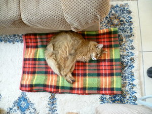 P1030465_Bildgröße ändern.JPG