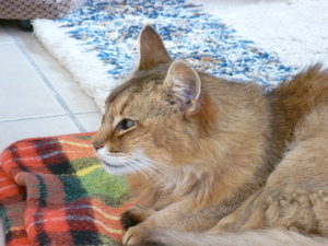 P1030470_Bildgröße ändern.JPG