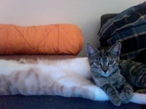 Foto am 30-07-2011 um 19.33.jpg