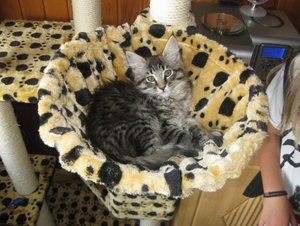 Lancelot 003_1094x821.jpg