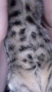 Foto am 02-08-2011 um 17.40.jpg