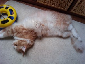 2011-07-12 20.00.33.jpg