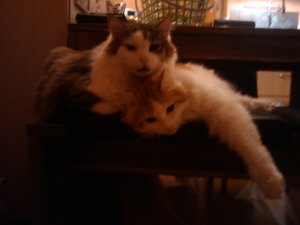 2011-07-28 04.42.35.jpg