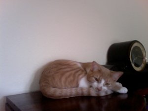 Foto am 07-08-2011 um 18.07.jpg