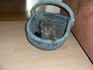 PICT0416 - Kopie.jpg