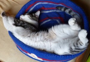 Jimmy in Jules Bettchen.jpg