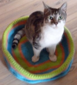 mein Bett ist da.jpg