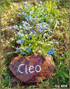 Grabstein-Cleo.jpg