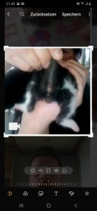 Screenshot_20200504-214513_Photo Editor.jpg