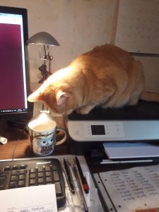 20180723_202346 (1).jpg