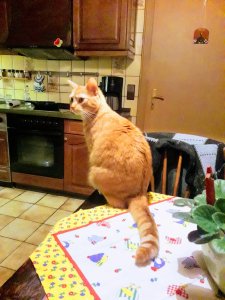 EFFECTS Sherlock.jpg