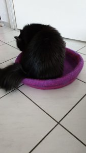 WhatsApp Image 2020-05-23 at 16.22.40.jpeg