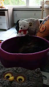 WhatsApp Image 2020-05-23 at 21.08.48.jpeg