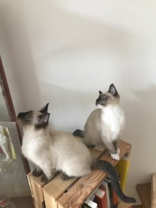 Foto 25.05.20, 15 30 08.jpg