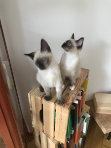 Foto 25.05.20, 15 28 12.jpg