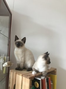 Foto 25.05.20, 15 28 58.jpg