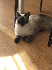 IMG_5249.jpg IMG_5249.jpg