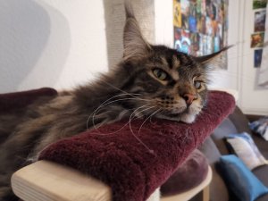 WhatsApp Image 2020-05-30 at 19.58.13.jpeg