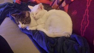 20191212_202522 (1).jpg