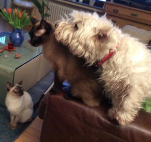 C01D8273-4529-4DAC-BE42-431D9EB4848C.jpeg C01D8273-4529-4DAC-BE42-431D9EB4848C.jpeg