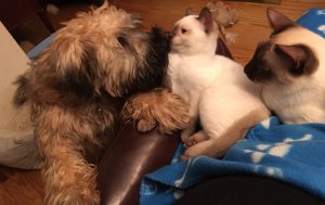 80146A61-D146-4663-9696-94B9B638FC5C.jpeg 80146A61-D146-4663-9696-94B9B638FC5C.jpeg