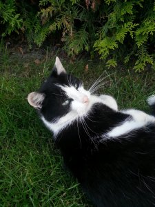 20130617_202003 - Kopie - Kopie.jpg