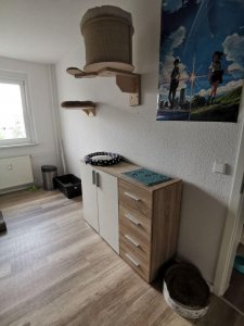 photo_2020-06-16_13-25-23 (3).jpg