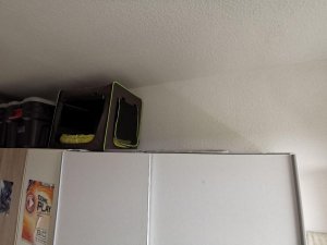 photo_2020-06-16_13-25-24 (2).jpg