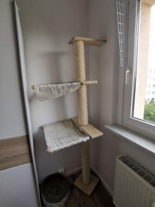 photo_2020-06-16_13-25-24 (3).jpg