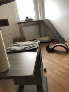 4307D02D-E94B-4021-9085-4ECEC75C3B82.jpeg 4307D02D-E94B-4021-9085-4ECEC75C3B82.jpeg