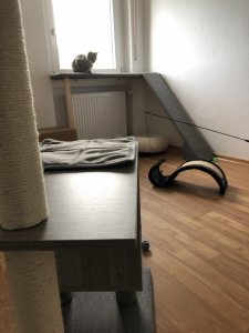 5CDD9190-A323-48F6-A15E-0EEC1AA5C03C.jpeg 5CDD9190-A323-48F6-A15E-0EEC1AA5C03C.jpeg