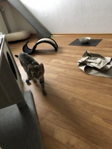 BACB201D-7E07-45DD-AA51-562D7A6D769C.jpeg BACB201D-7E07-45DD-AA51-562D7A6D769C.jpeg