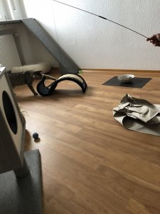 14ADB36A-3C6D-4AC7-8312-8586EC11B920.jpeg 14ADB36A-3C6D-4AC7-8312-8586EC11B920.jpeg