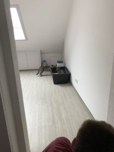 3FFF2BE0-5E2B-47CD-985C-C3F0EAD80018.jpeg 3FFF2BE0-5E2B-47CD-985C-C3F0EAD80018.jpeg