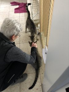 DBE5A223-8F3B-49CD-A34E-5B3270CEAA8B.jpeg DBE5A223-8F3B-49CD-A34E-5B3270CEAA8B.jpeg