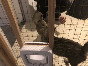 B3C8007E-9DF9-44C3-8E53-1CF7E3597471.jpeg B3C8007E-9DF9-44C3-8E53-1CF7E3597471.jpeg