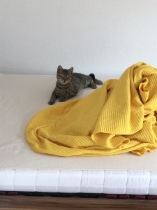 5ECDBF28-00A0-48E6-972B-441EDE493039.jpeg 5ECDBF28-00A0-48E6-972B-441EDE493039.jpeg