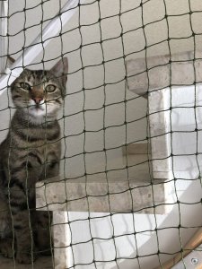 A97321B6-0686-47C9-87D2-163195B0BB13.jpeg A97321B6-0686-47C9-87D2-163195B0BB13.jpeg