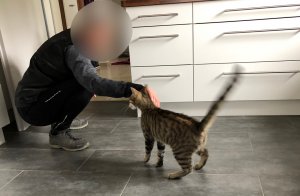 38E85915-D130-43DA-AEAB-EF1F733CDD86.jpeg 38E85915-D130-43DA-AEAB-EF1F733CDD86.jpeg