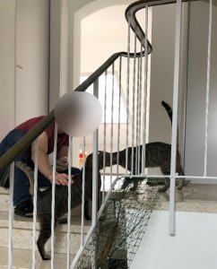 96EBD7E0-749C-426A-A44F-C5B94274C3C6.jpeg 96EBD7E0-749C-426A-A44F-C5B94274C3C6.jpeg