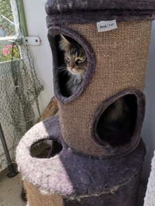 WhatsApp Image 2020-06-24 at 14.43.06.jpeg