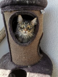 WhatsApp Image 2020-06-24 at 14.42.47.jpeg